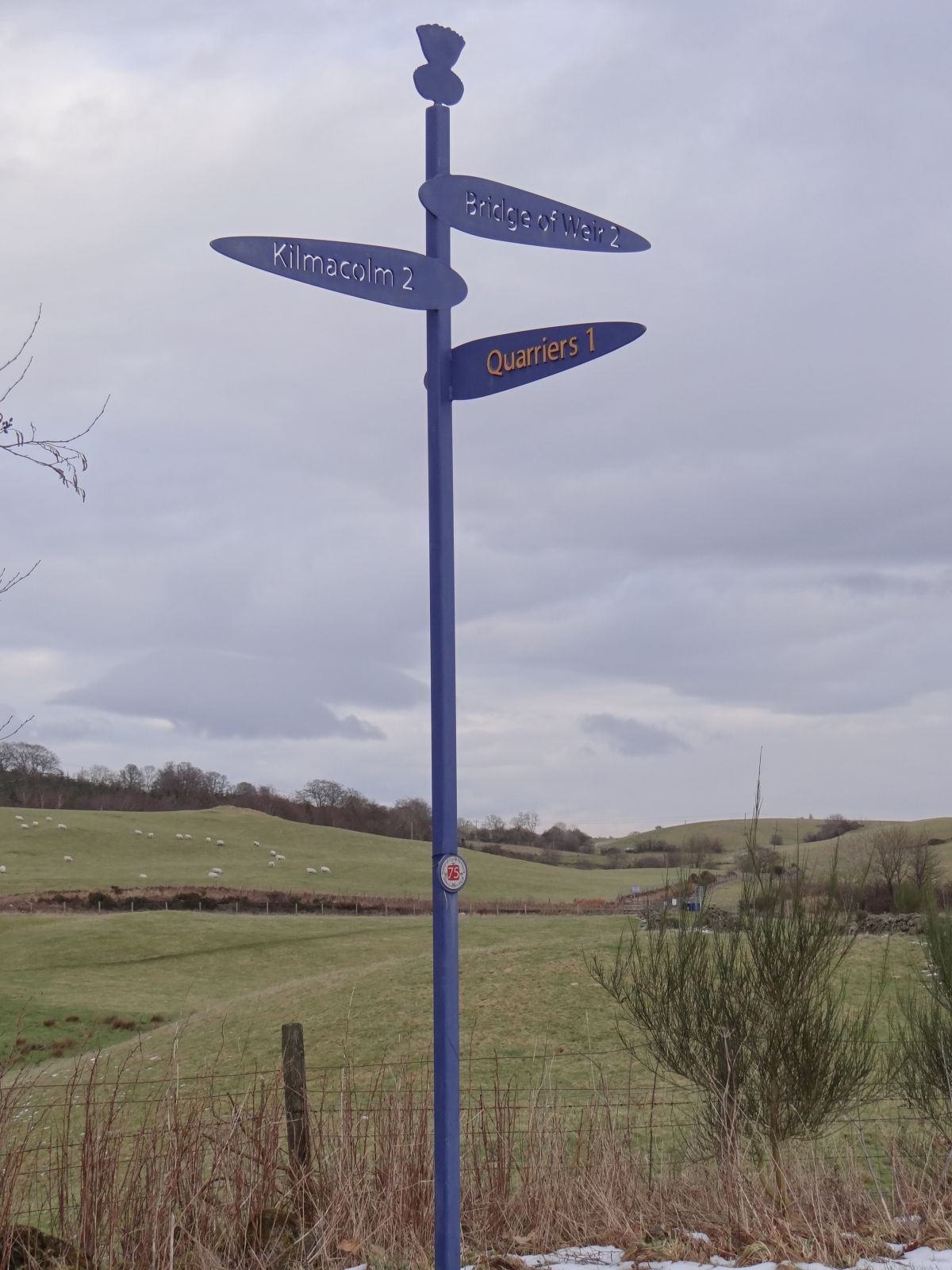 Cycle Network Directional post